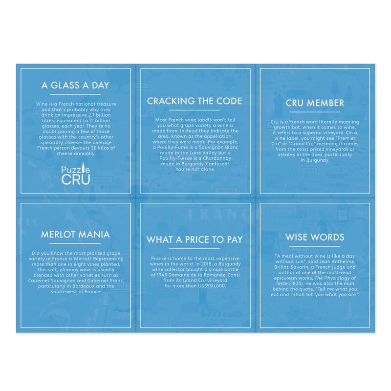 Wines of france puzzle facts poster on white background